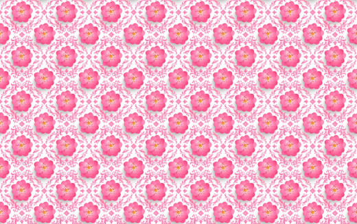 1008079 (a): :1920x1204